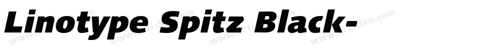 Linotype Spitz Black字体转换